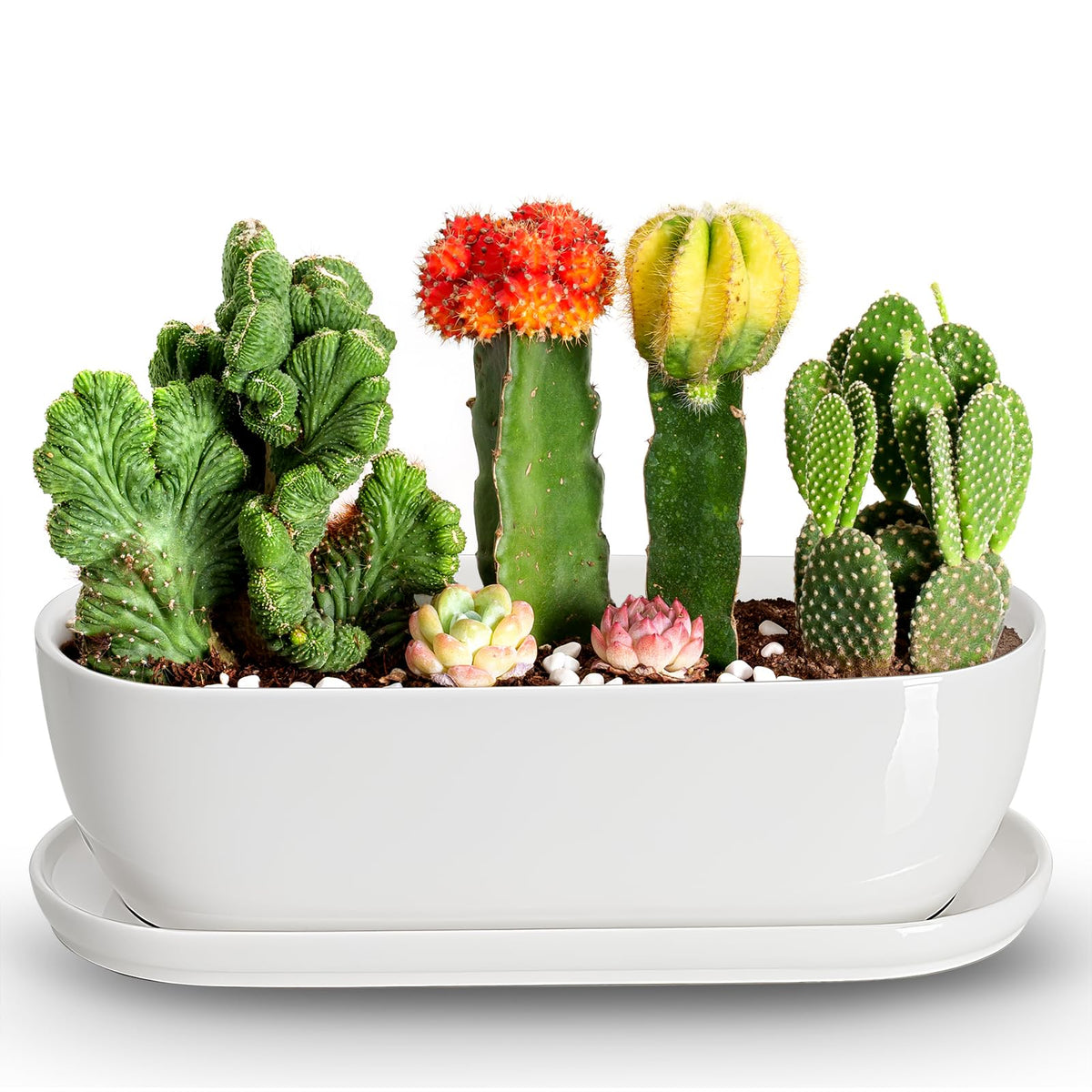 E-liu oval ceramic planter front view for modern indoor decor.