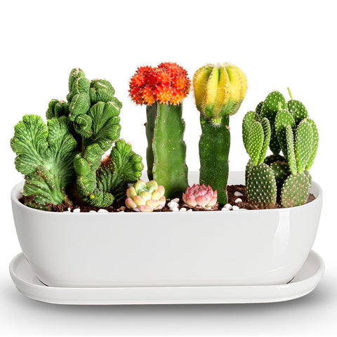 E-liu oval ceramic planter front view for modern indoor decor.
