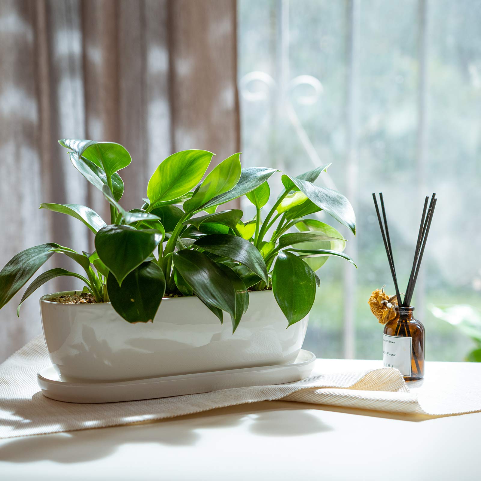 E-liu oval ceramic planter gift-ready packaging.