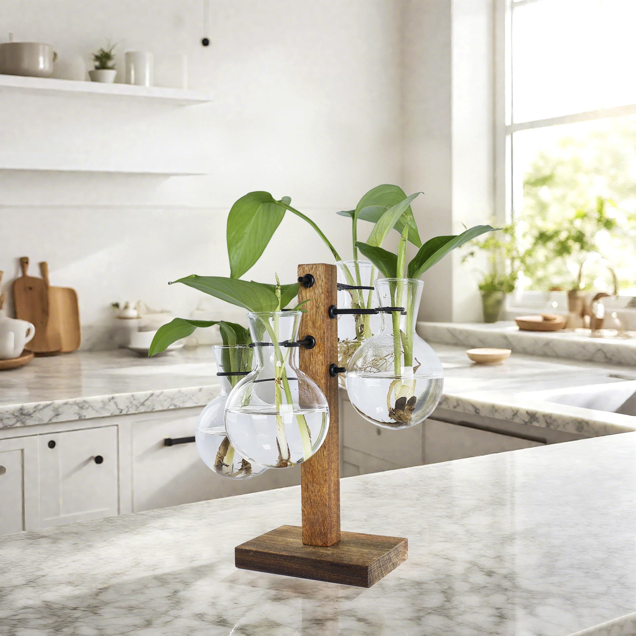 E-ROOM TREND acacia wood stand with four bulb glass vases for plant propagation.