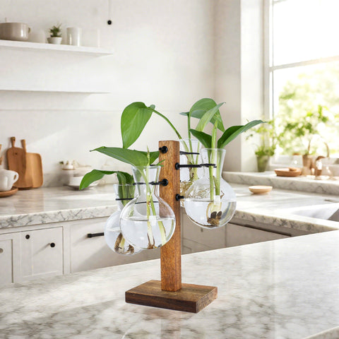 E-ROOM TREND acacia wood stand with four bulb glass vases for plant propagation.