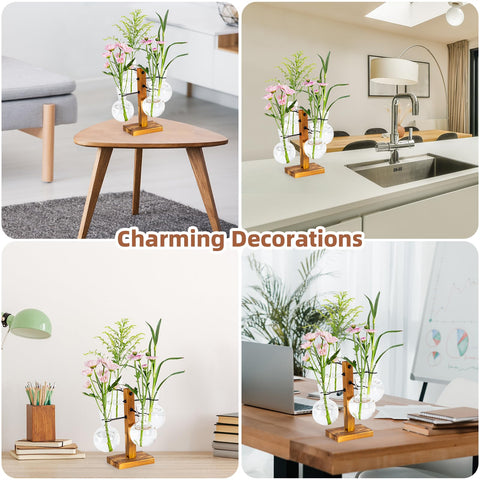 E-ROOM TREND easy-setup propagation kit for home gardens.