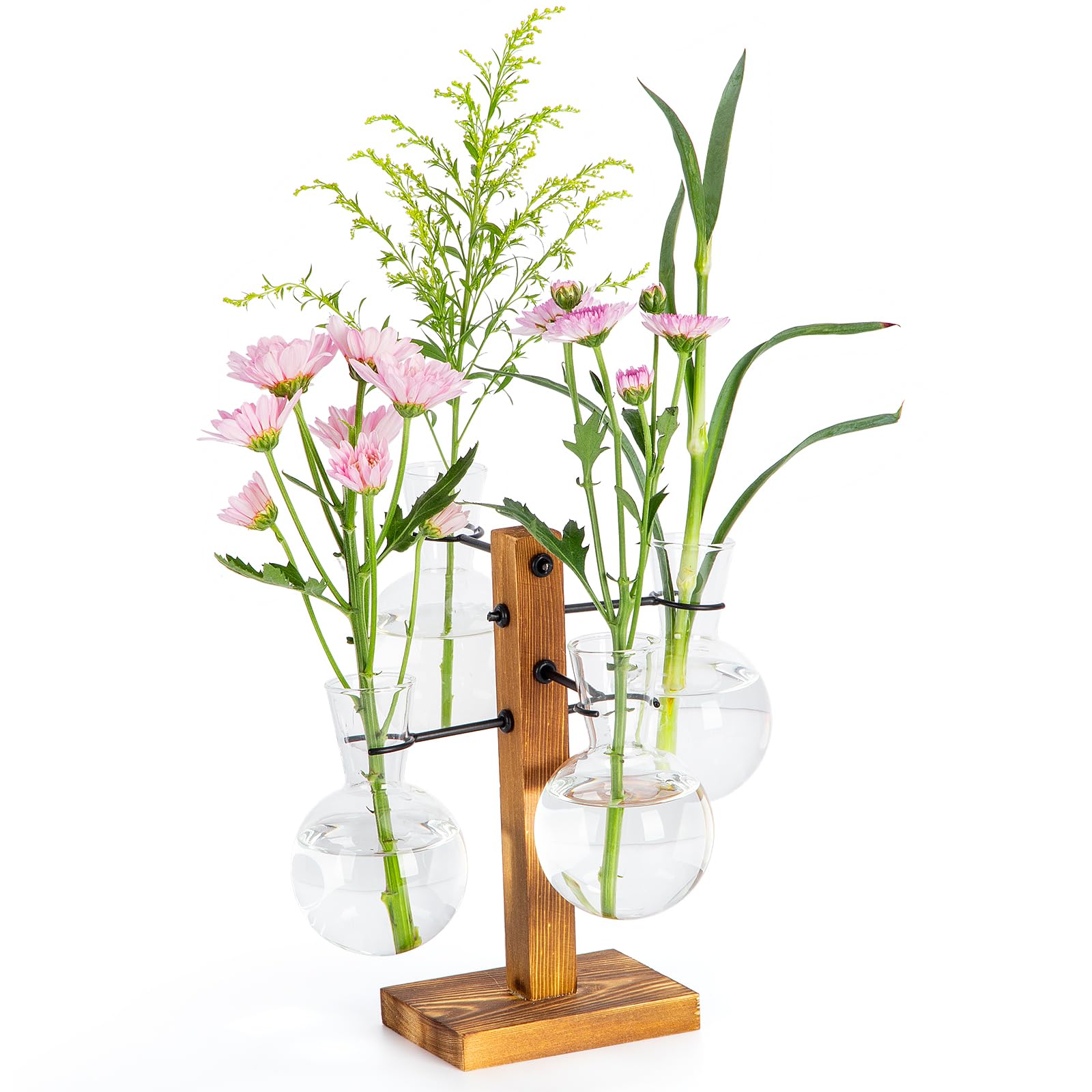 E-ROOM TREND Plant Propagation Station with wood stand and four glass vases for desk greenery
