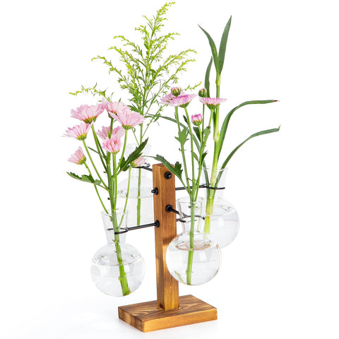 E-ROOM TREND Plant Propagation Station with wood stand and four glass vases for desk greenery