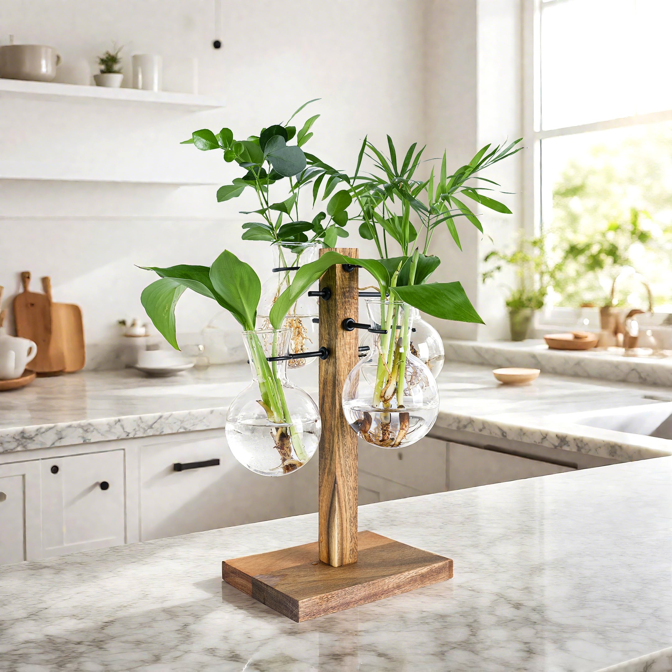 E-ROOM TREND propagation station on a wood stand with four glass bulbs for plant cuttings