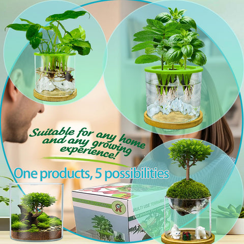 E SUPEREGROW bonsai planter pot for compact greenery.