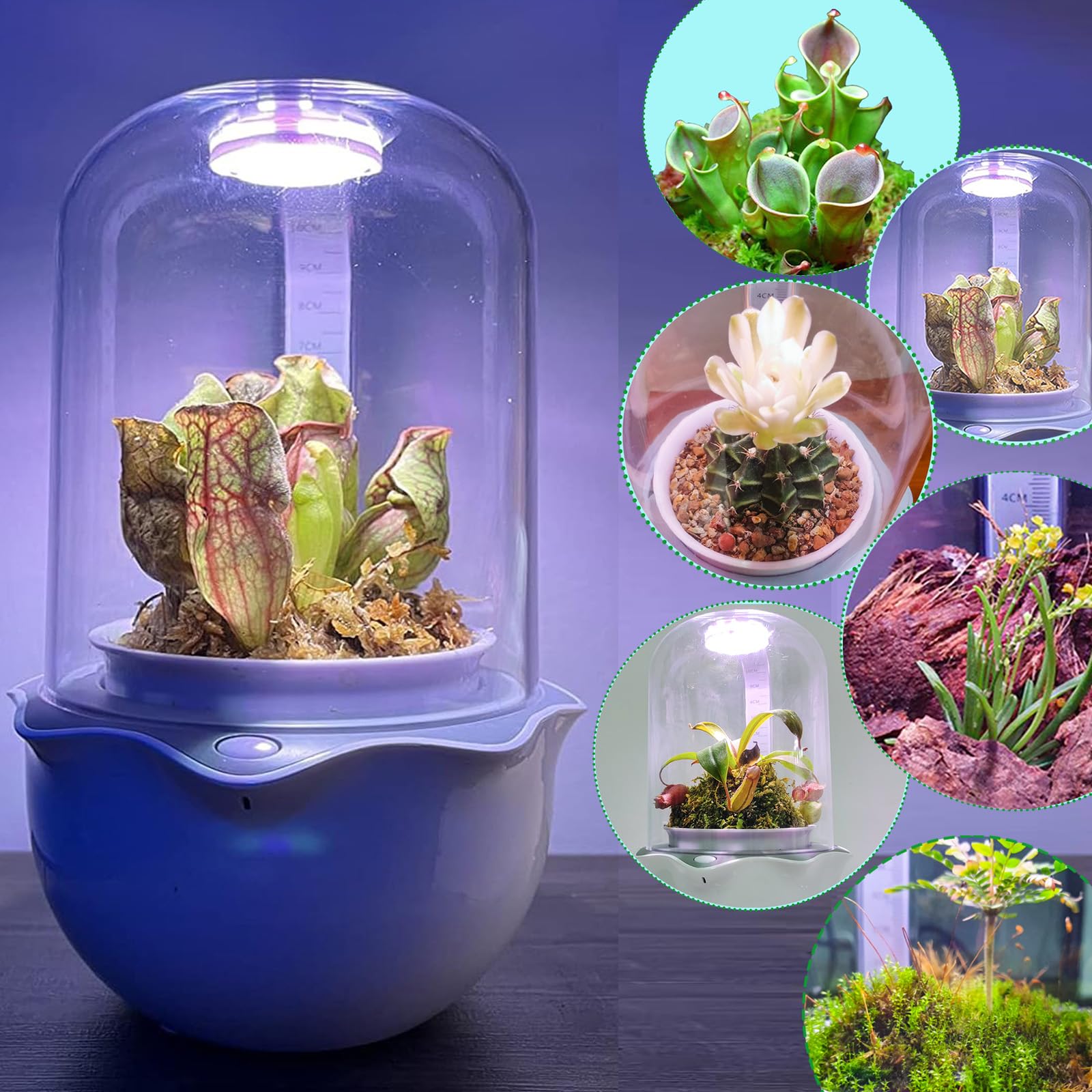 Built-in ventilation fan from E SUPEREGROW keeps terrarium air fresh.