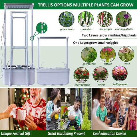 Cucumber plant thriving with trellis support in E SUPEREGROW kit