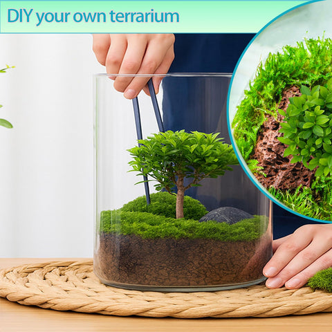 E SUPEREGROW desktop terrarium display for DIY plant scenes.