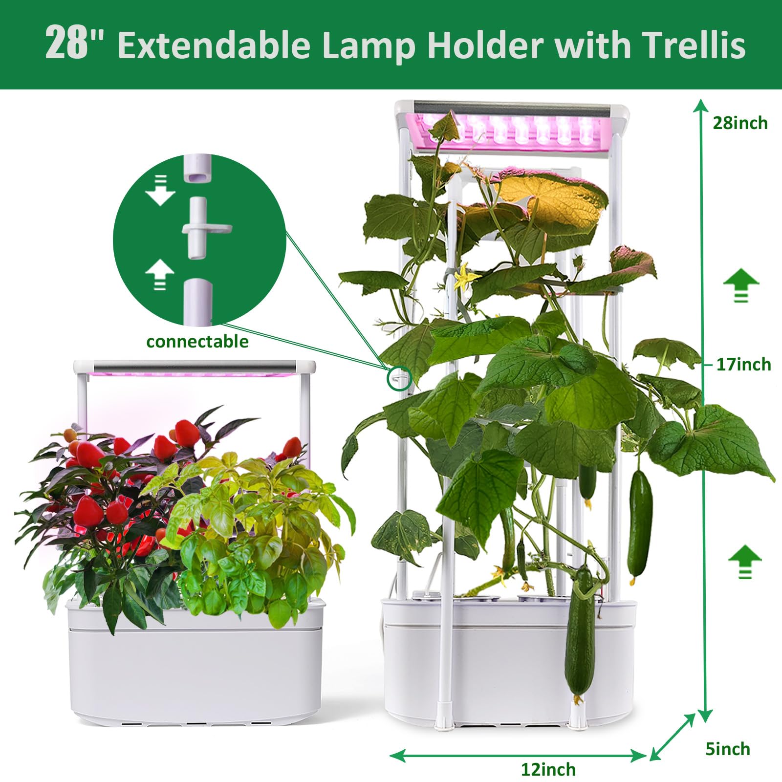 E SUPEREGROW dual planter sections offer ample space for leafy greens and fruiting plants