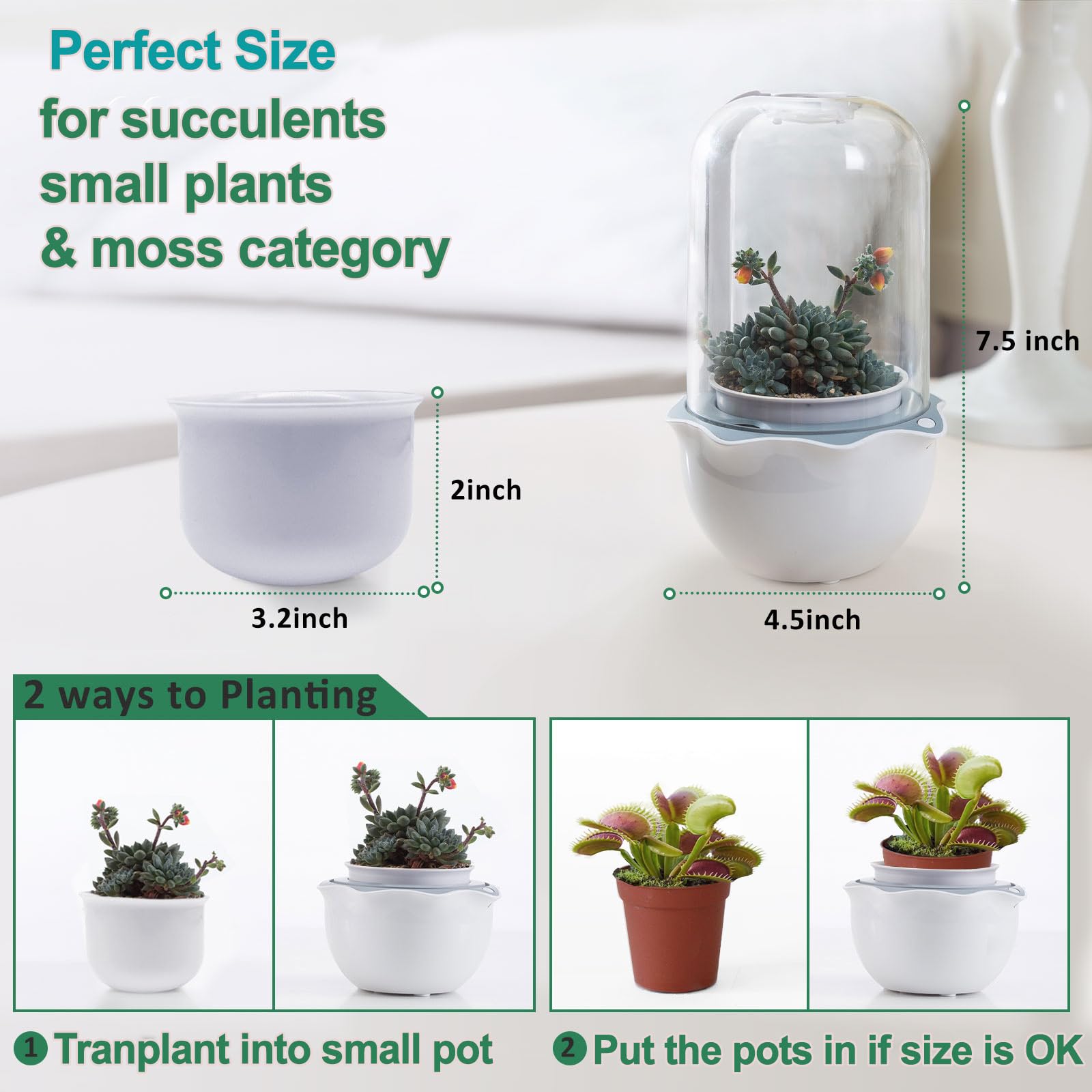Gift-ready packaging makes a thoughtful plant-loving present.