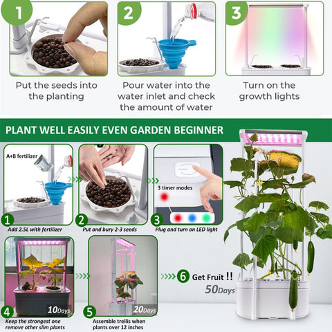 Herbs and greens growing cleanly in E SUPEREGROW indoor garden