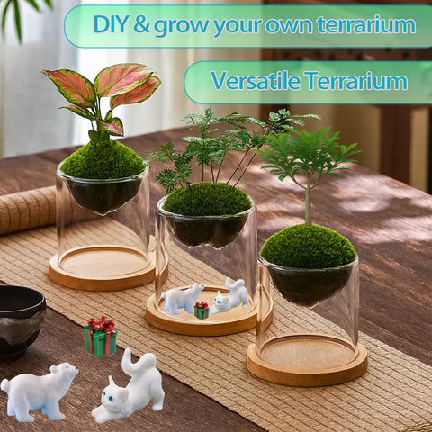 E SUPEREGROW hydroponics planter showcases water-loving plants elegantly.