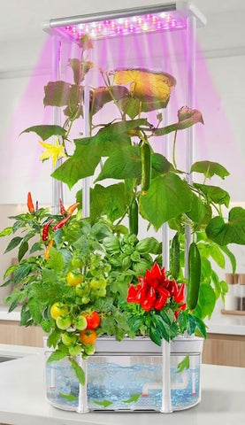 E SUPEREGROW hydroponics system with trellis supports tall plants for stable growth