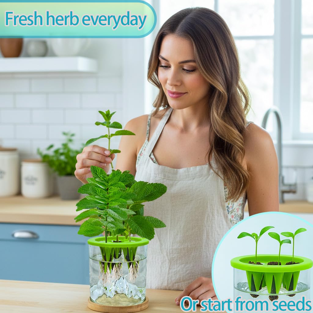 E SUPEREGROW indoor herb garden kit ready for fresh herbs.