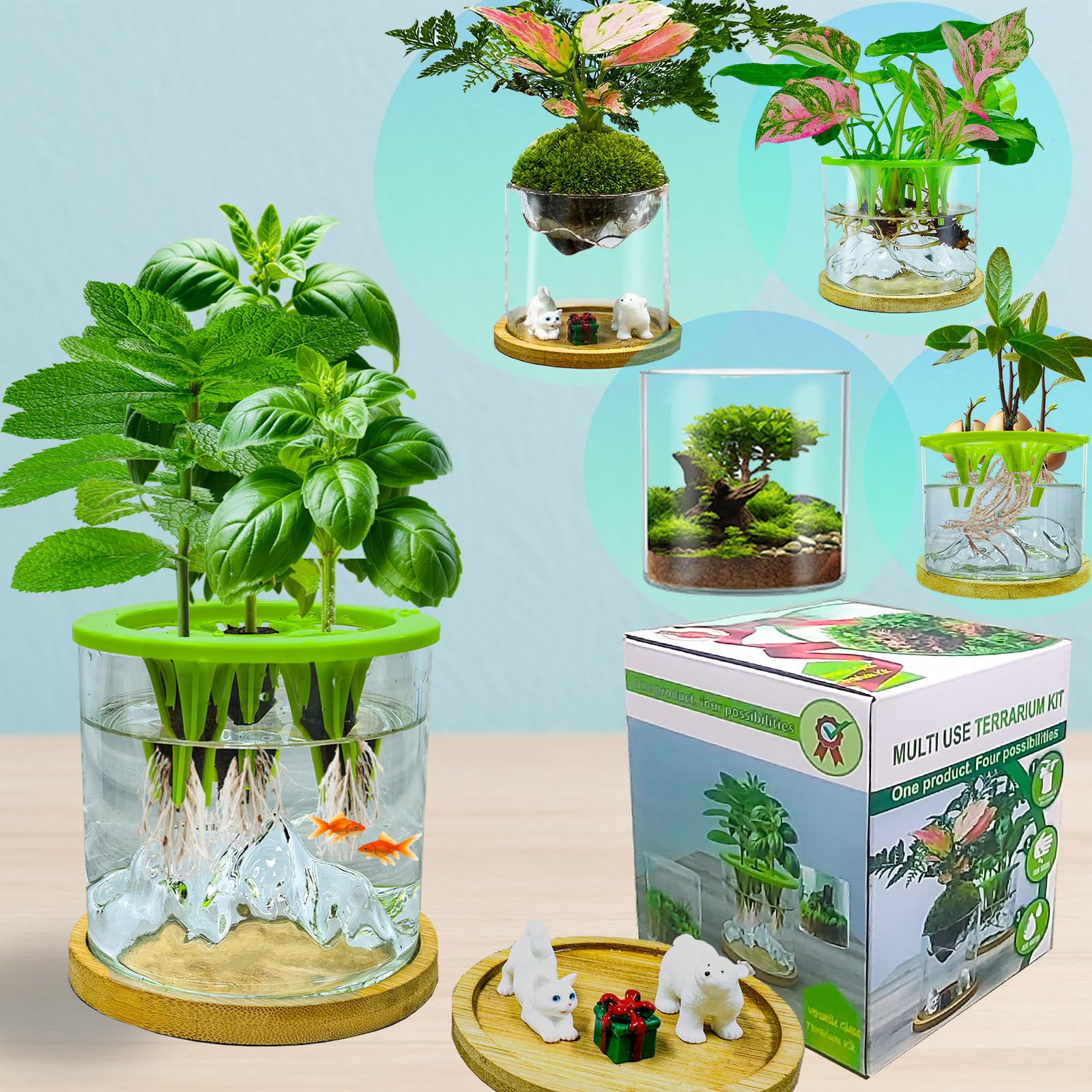 E SUPEREGROW propagation station glass vase for elegant desk display and plant growth.