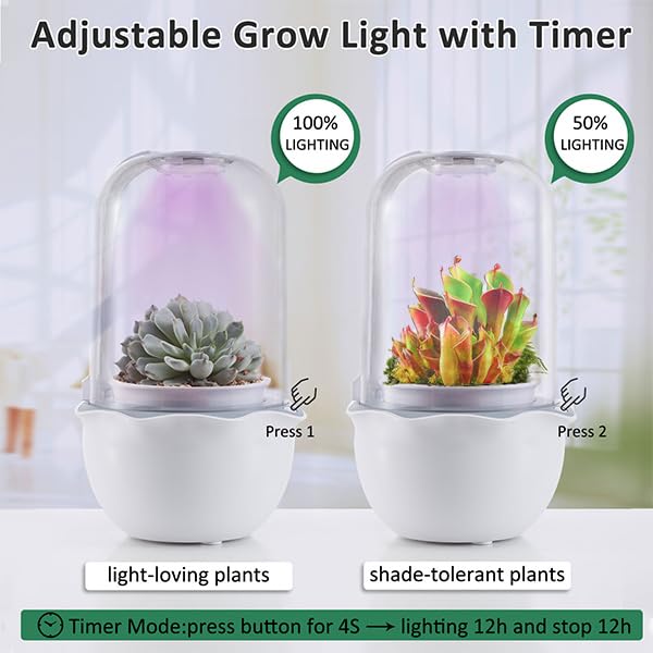 Timer-enabled lighting provides consistent day length for small indoor plants.