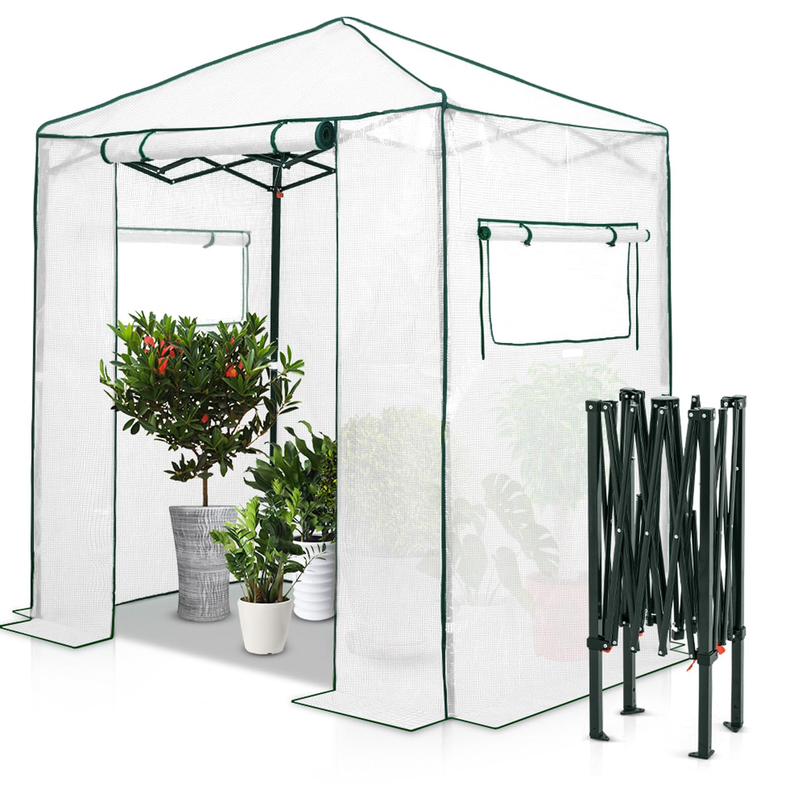 Eagle Peak instant pop-up greenhouse 6x4 walk-in with white cover for easy backyard gardening.