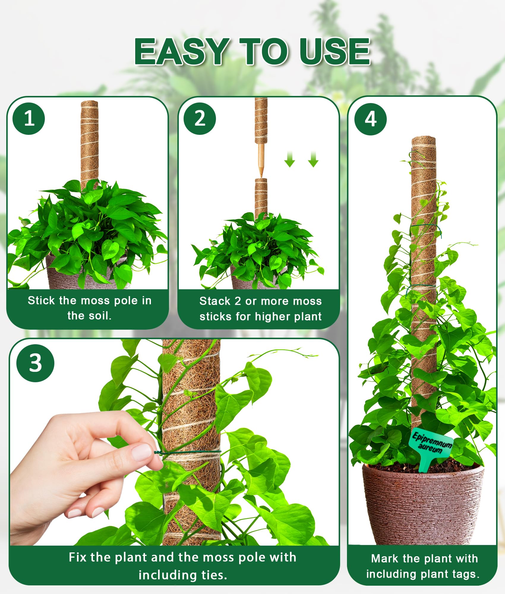 EAONE 16-inch moss pole inserted into soil demonstrates easy setup.