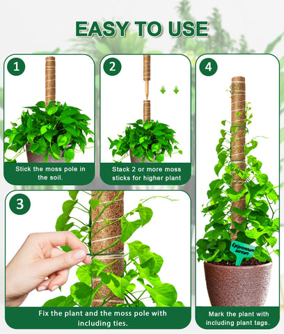 EAONE 16-inch moss pole inserted into soil demonstrates easy setup.