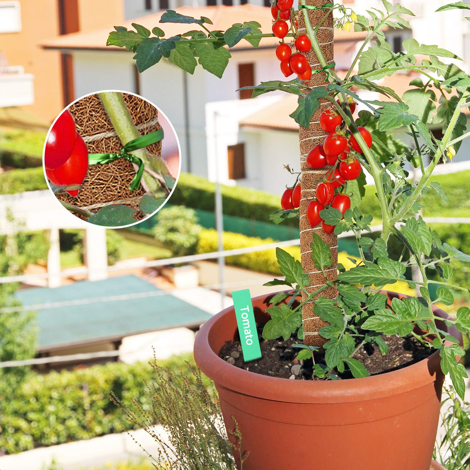 EAONE indoor-outdoor use suitable for Monstera, pothos, and creepers.