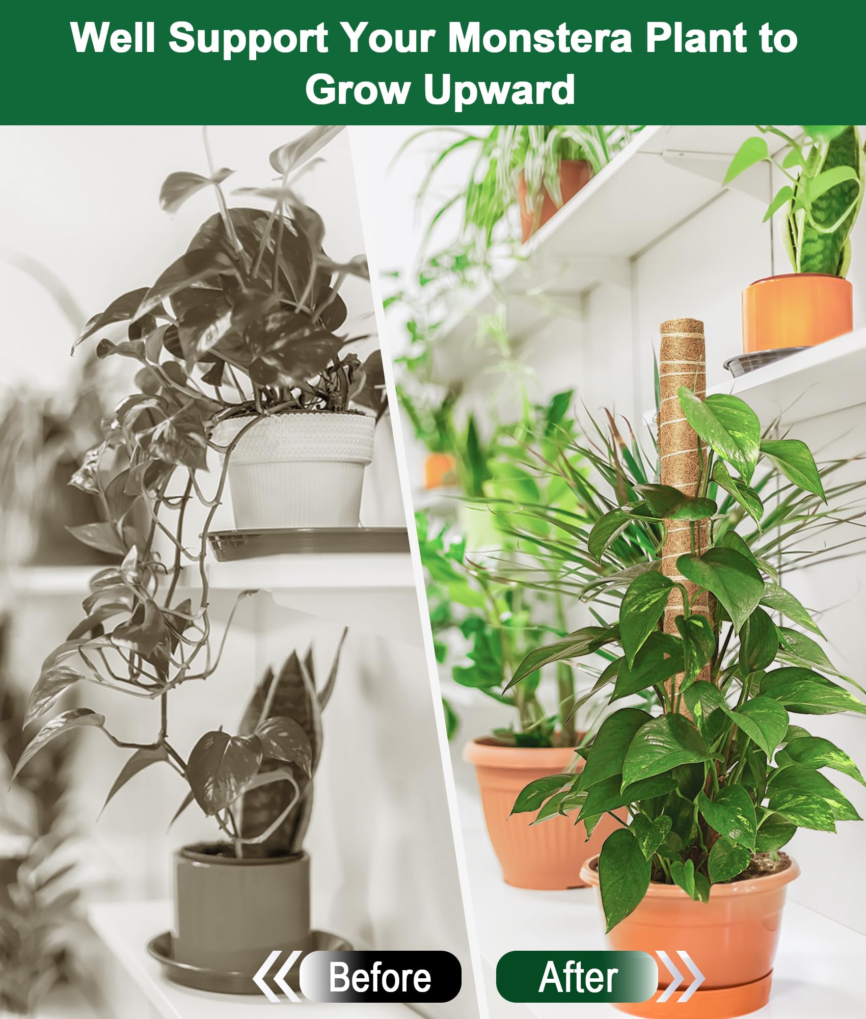 EAONE plant labels pack helps organize each potted plant effectively.