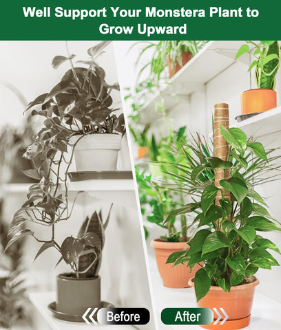 EAONE plant labels pack helps organize each potted plant effectively.
