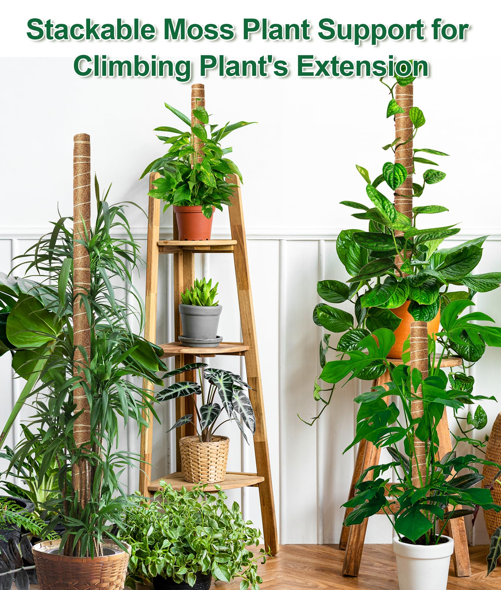 EAONE reusable ties secure vines without harming stems.