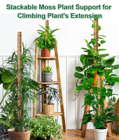 EAONE reusable ties secure vines without harming stems.