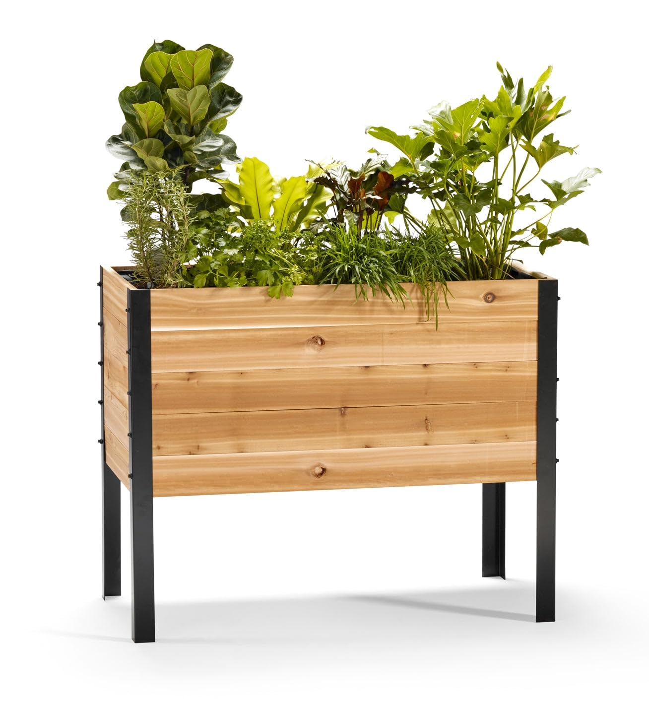 EARTH ELEVATED cedar garden bed front view shows elevated design for easy herb growing.