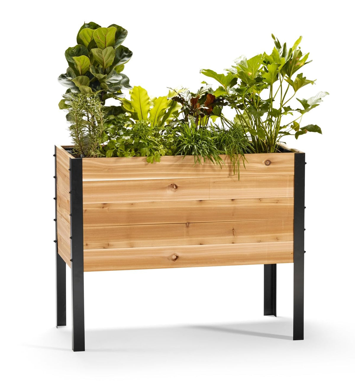 EARTH ELEVATED cedar garden bed front view shows elevated design for easy herb growing.