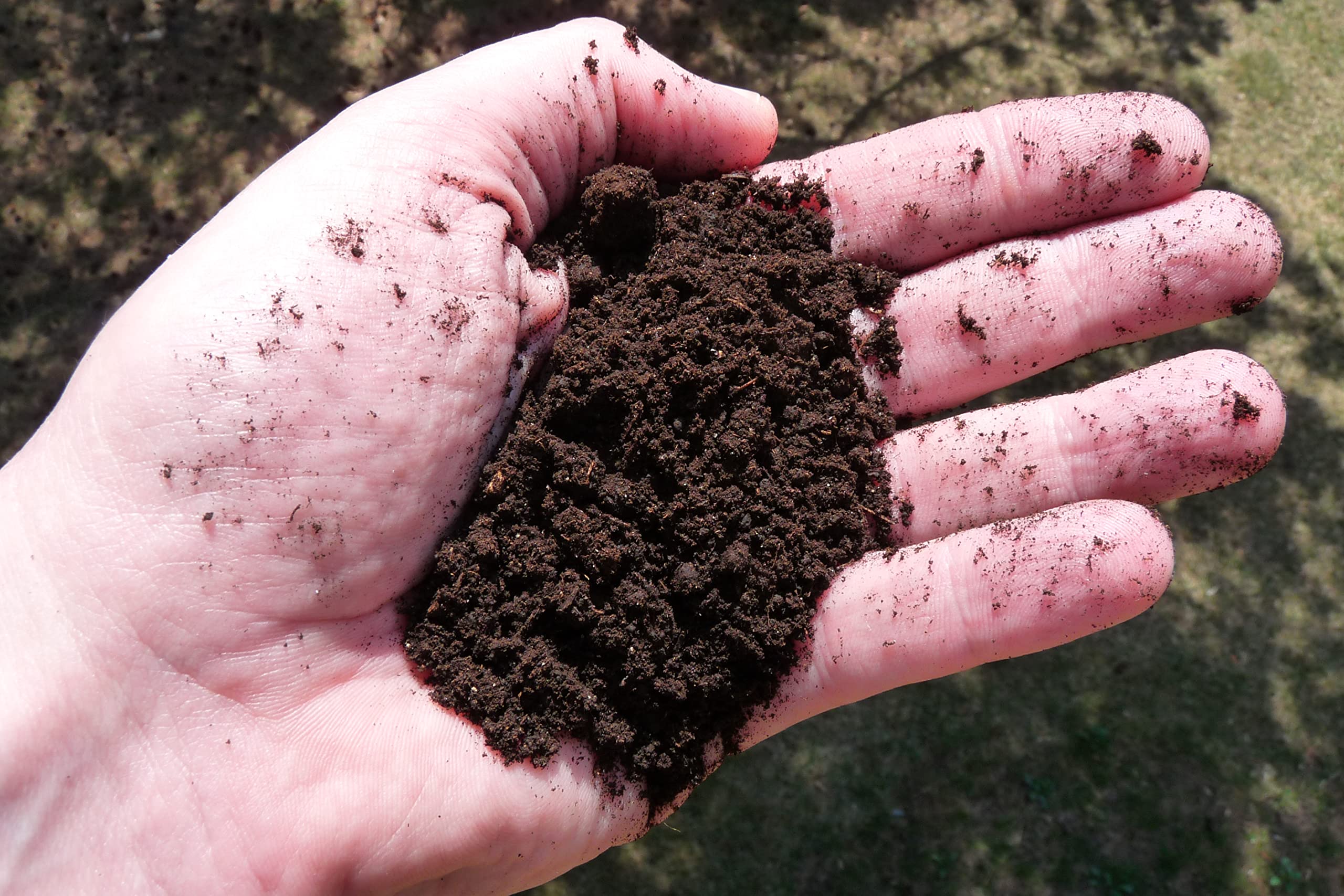 Earth Science indoor plant application shows easy top-dressing.