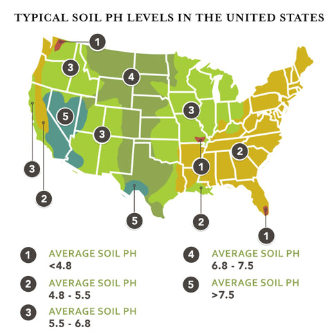 Earth Science sulfur enhances lawn color and growth after application.