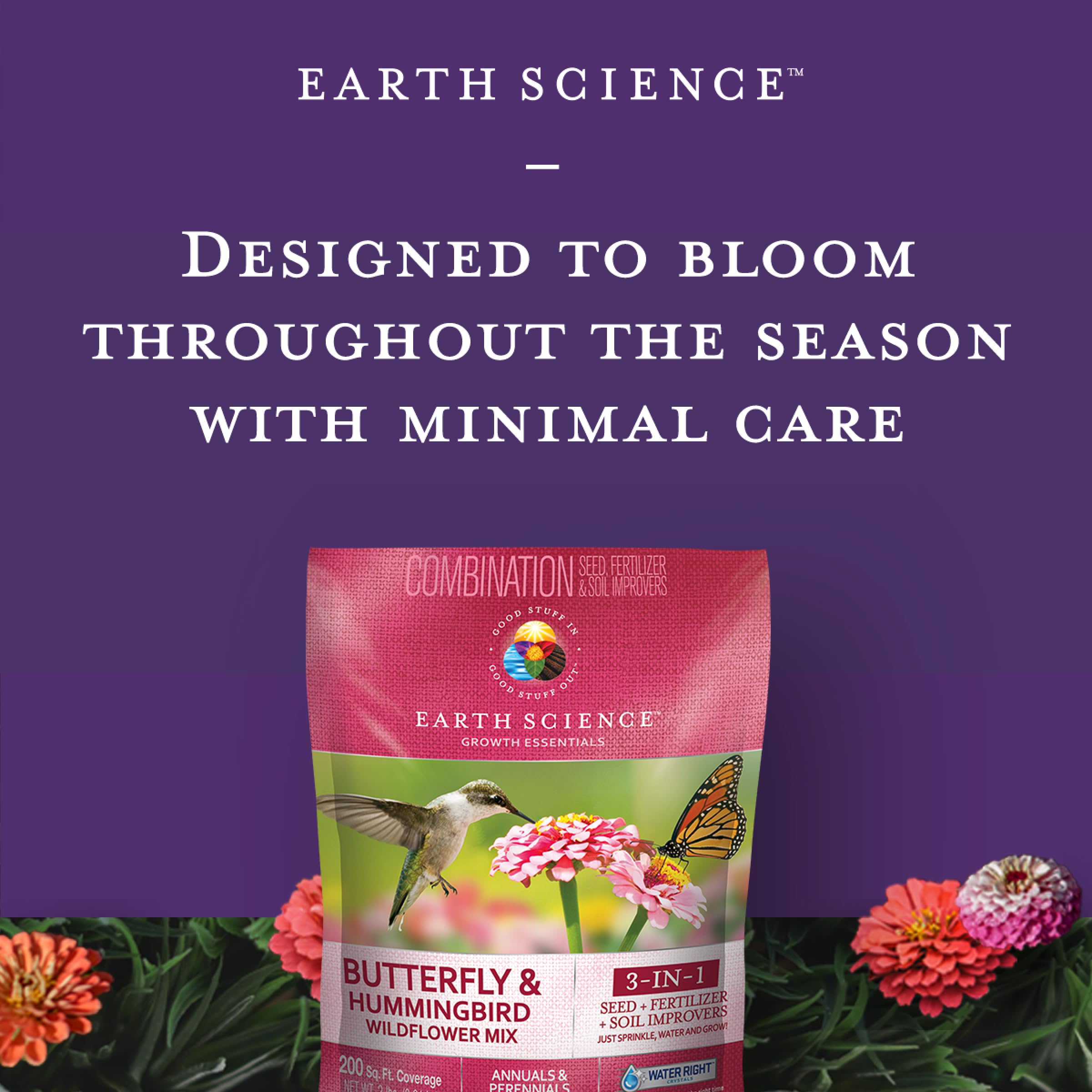 Earth Science garden scene with hummingbird visiting bright wildflowers.