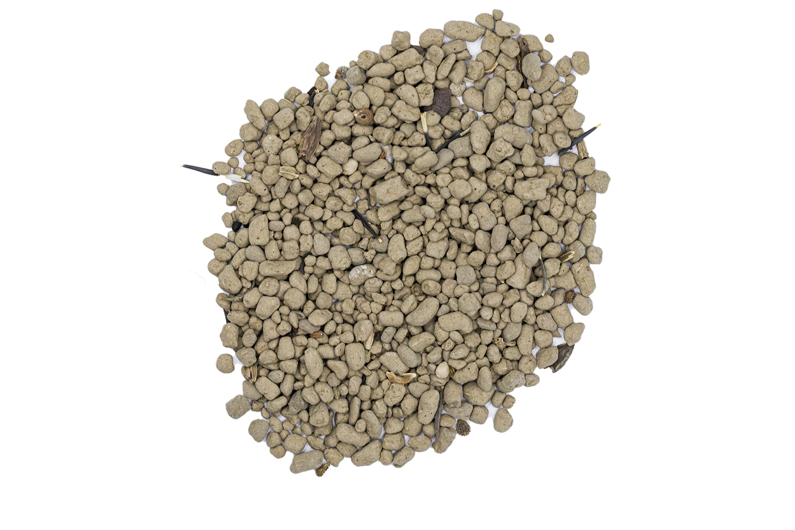 Earth Science soil conditioner demonstrates healthier soil for robust blooms.