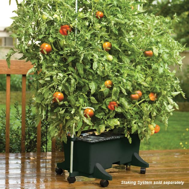 EarthBox 80151 four casters enable easy repositioning.