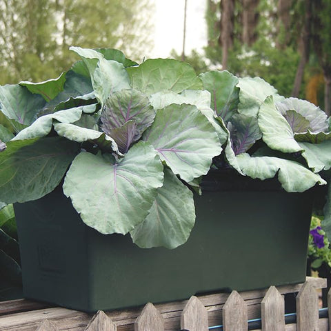 EarthBox 80151 mulch covers provide insulation and seasonal styling.