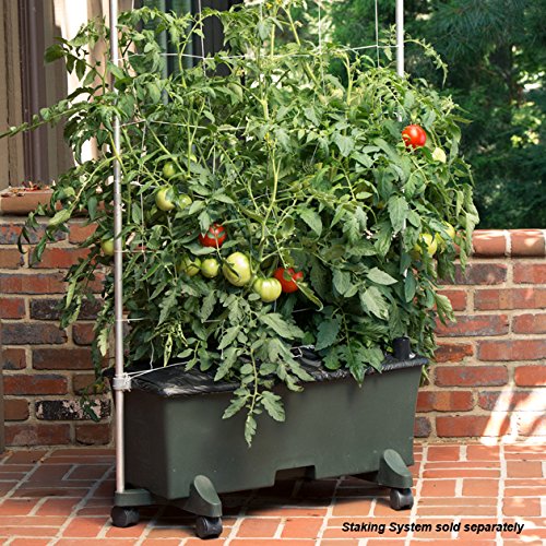 EarthBox 80151 patented system highlights proven soil management.