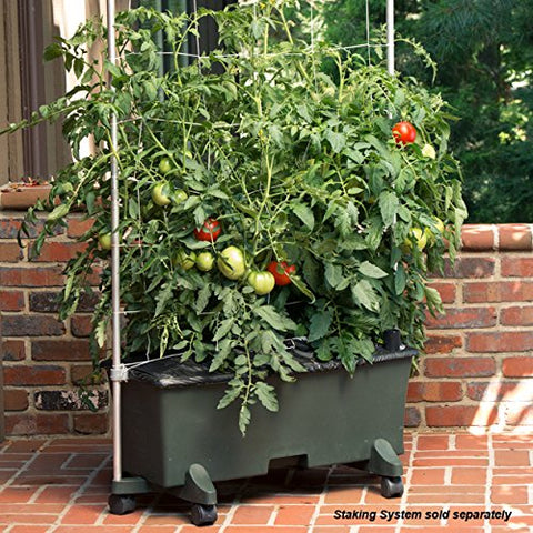 EarthBox 80151 patented system highlights proven soil management.