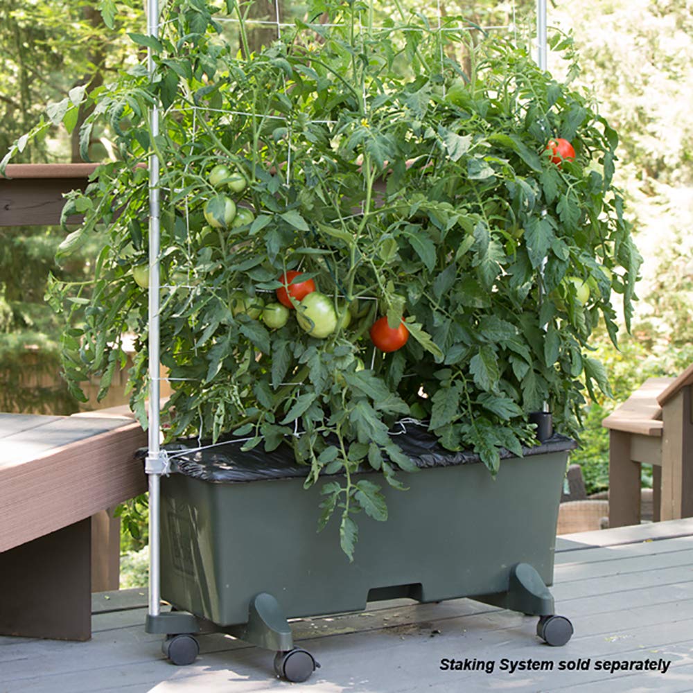 EarthBox 80151 ready-to-use kit speeds setup and planting.