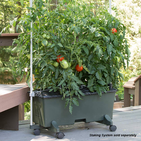 EarthBox 80151 ready-to-use kit speeds setup and planting.