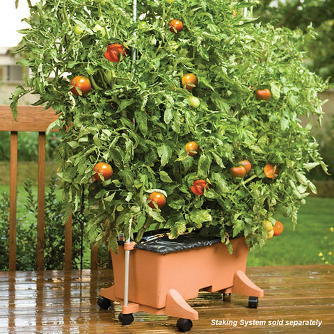 EarthBox container aeration screen, promoting drainage and healthier roots.