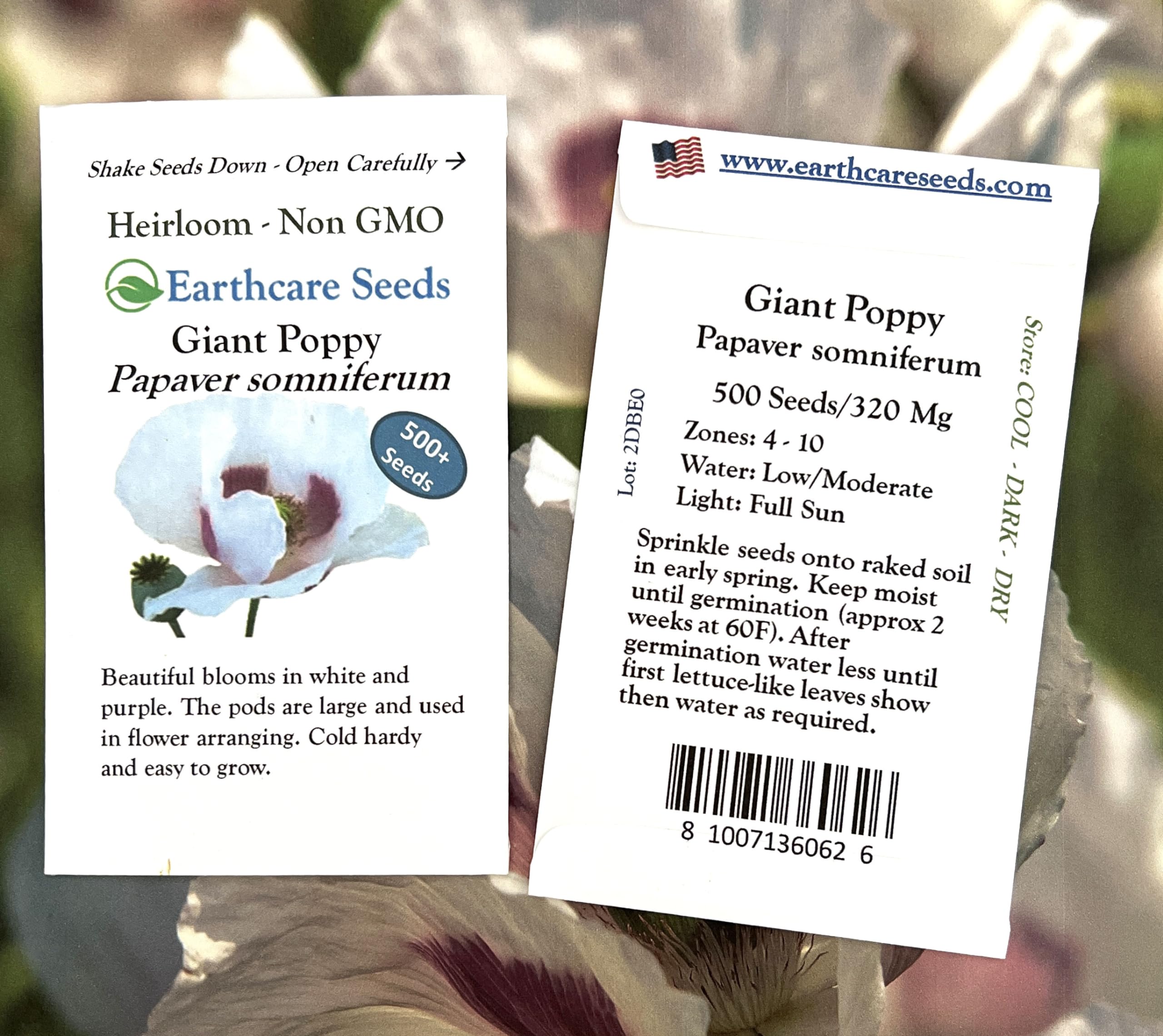 Earthcare Seeds Giant Poppy white purple pink bloom in sunny bed for borders.