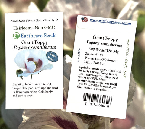 Earthcare Seeds Giant Poppy white purple pink bloom in sunny bed for borders.