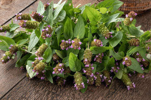 Earthcare Seeds Heal All plant blooms from June to October.