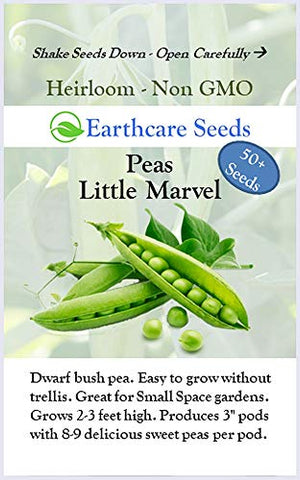 Earthcare Seeds Little Marvel harvest in a basket displaying abundant pods.