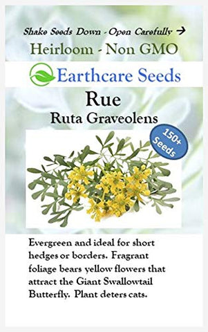Earthcare Seeds Rue low-maintenance texture and scent in borders.