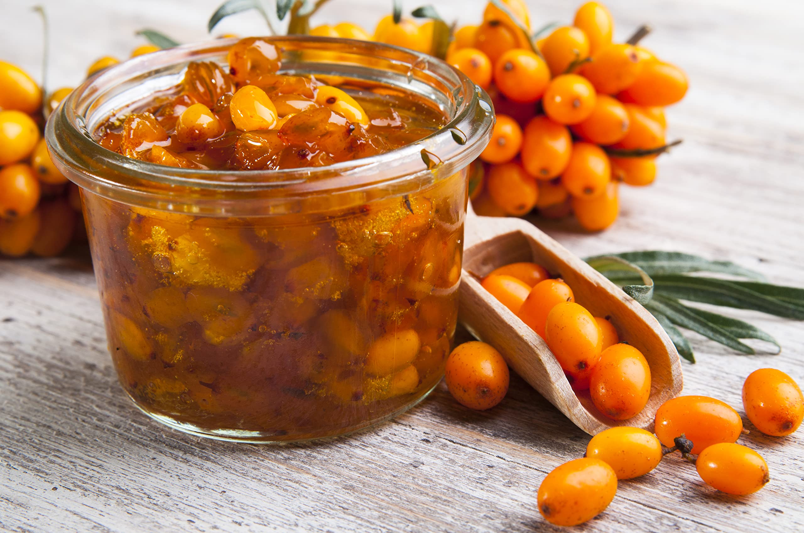 Earthcare Seeds Sea Buckthorn orange berries closeup, vibrant color and fruity aroma.