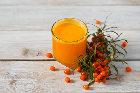 Earthcare Seeds Sea Buckthorn shrub, compact yet substantial, ideal for year-round landscape.