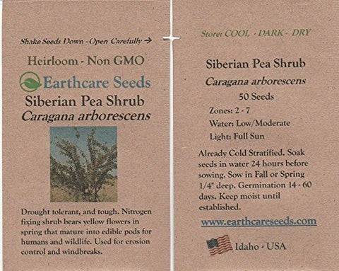 Earthcare Seeds Siberian Pea Shrub thrives in drought conditions.